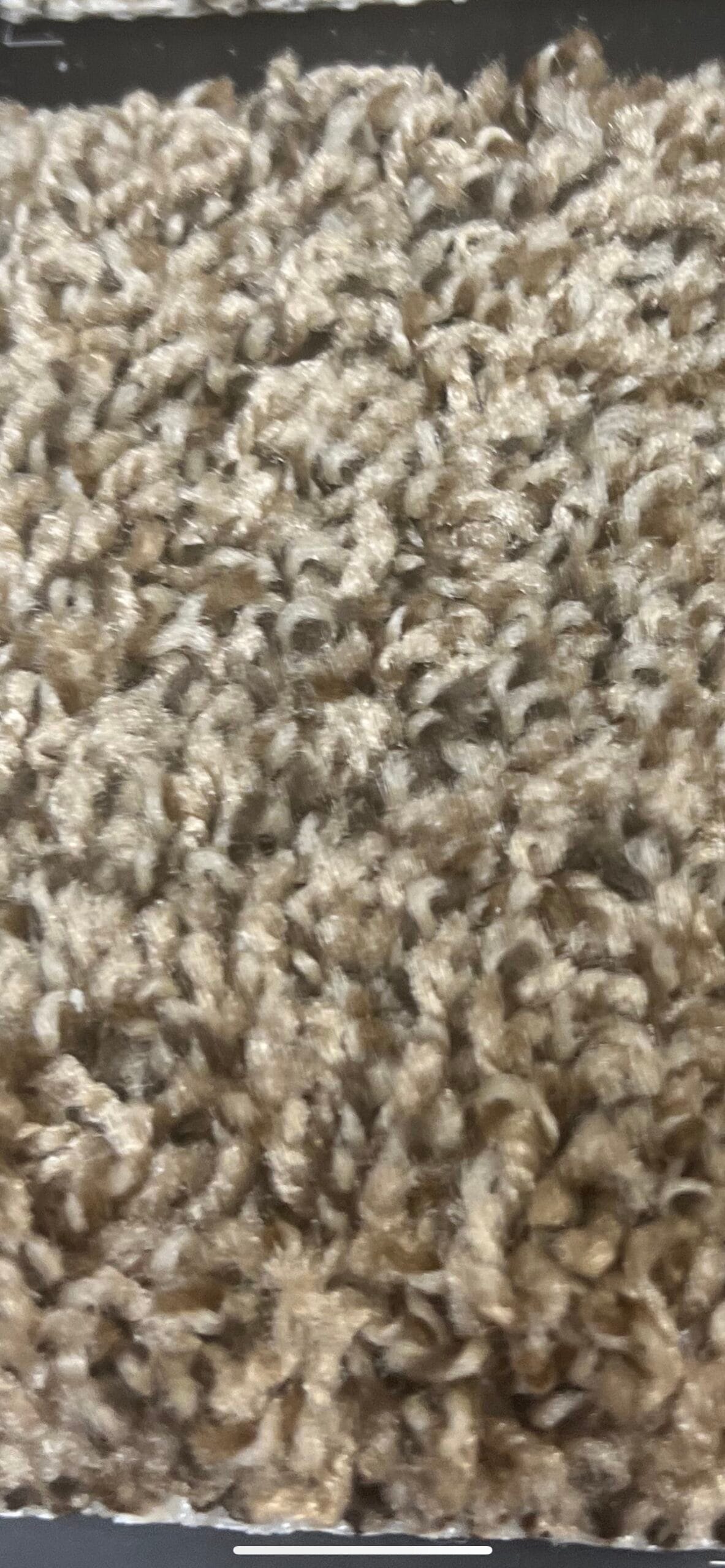 IN STOCK Carpet Color Agate